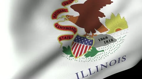 Illinois State Flag Waving Stock Footage 11979830