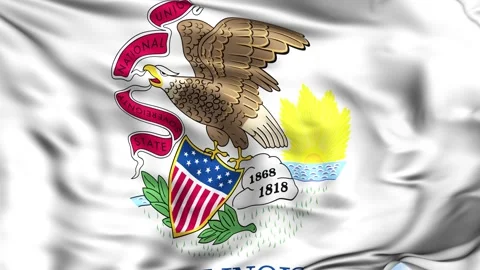 Illinois State Waving Flag Background 스톡 동영상 204138522