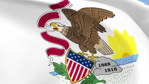 Illinois State Waving Flag Background Loop Stock Footage 317846229