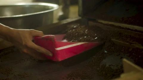 Illipe nut processing Stock Footage 216652255