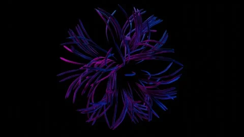 Illuminated abstract animated figure of moving lines on a black background. loop Stock Footage 253677062