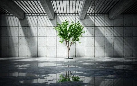 Illuminated alone tree on the background of Concrete wall with reflections in Stock Illustration