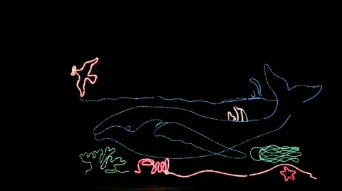 Illuminated animated dolphin Stock Footage 599825