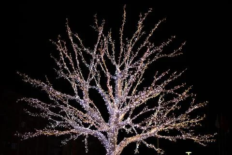 Illuminated artificial tree decorated for the New year holiday in the city at Stock Photos