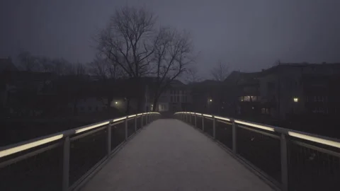 Illuminated bridge in the fog Stock Footage 264592260