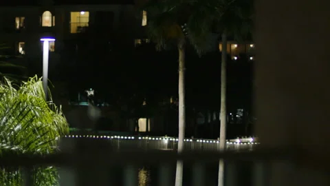 Illuminated bridge over a river at night with palm trees Stock Footage 153655390