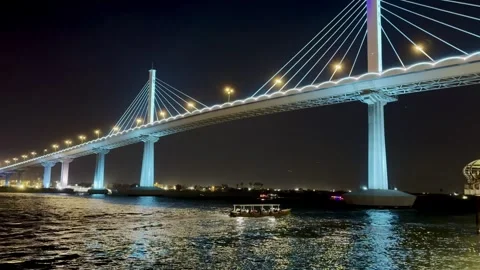 Illuminated Cable-Stayed Bridge at Night Stock Footage 292163107