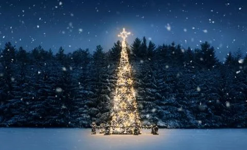 Illuminated christmas tree at night with falling snow and copy space Stock Photos