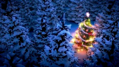 Illuminated christmas tree in pine woods Stock Illustration
