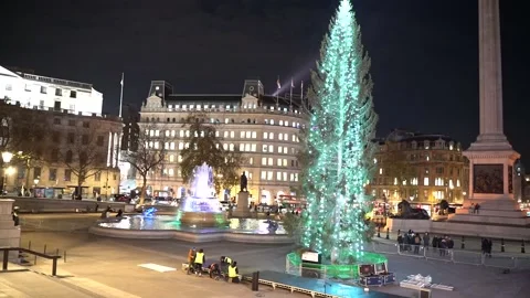 Illuminated Christmas tree at Trafalgar square gifted by people of Norway Stock Footage 166307315