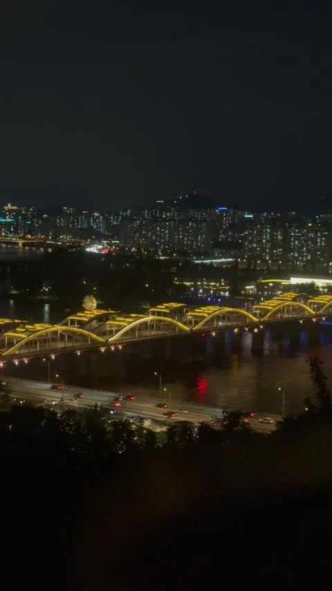 Illuminated city bridge crossing wide river at night, against backdrop of dense Видео 337107853