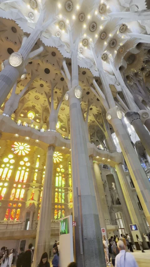 Illuminated columns and vaulted ceiling inside Sagrada Familia Stock Footage 341068332