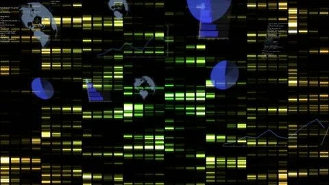 Illuminated data grid pulsing and revealing blue charts on load, visualizing Stock Footage 329453873