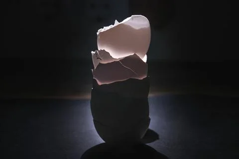 Illuminated eggshell in the dark Stock Photos