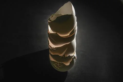 Illuminated eggshell in the dark Stock Photos