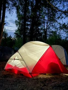 Illuminated Forest Tent Camp Stock Photos