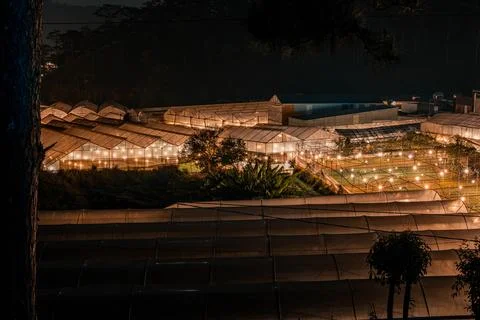 Illuminated Greenhouse Complex at Night Stock-Fotos