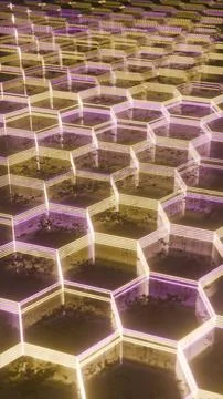 Illuminated Hexagonal Pattern with Neon Pink and Yellow Lights.. Stock Illustration