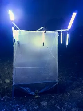 Illuminated insect light trap glows in darkness to attract moths and beetle.. Stock-Fotos