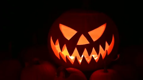 Illuminated jack-o-lantern surrounded by mini pumpkins Stock Footage 317342709
