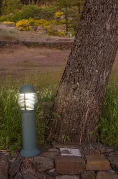 Illuminated lantern next to a tree trunk. Stock Photos