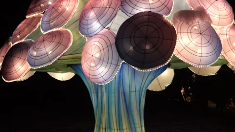 Illuminated lanterns in the shape of a jellyfish in a winter park setting.  Stock Footage 325912698