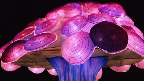 Illuminated lanterns in the shape of a jellyfish in a winter park setting.  Video stock 326164720