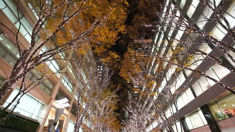 Illuminated Maple Trees Along Marunouchi Nakadori Surrounded by Skyscrapers Stock Footage 327330492