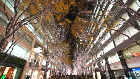 Illuminated Maple Trees Along Marunouchi Nakadori Surrounded by Skyscrapers Stock Footage 327330566