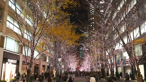 Illuminated Maple Trees Along Marunouchi Nakadori Surrounded by Skyscrapers Stock Footage 327330884