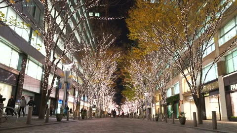 Illuminated Maple Trees Along Marunouchi Nakadori Surrounded by Skyscrapers Stock Footage 327330968