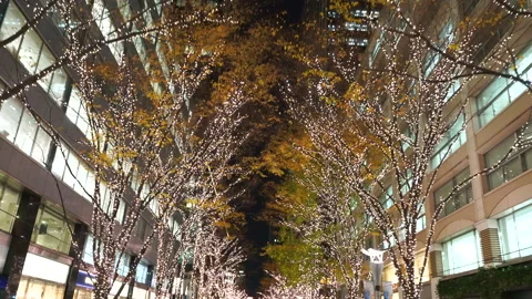 Illuminated Maple Trees Along Marunouchi Nakadori Surrounded by Skyscrapers Stock Footage 327331035