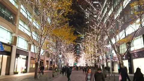 Illuminated Maple Trees Along Marunouchi Nakadori Surrounded by Skyscrapers Stock Footage 327331196