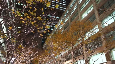 Illuminated Maple Trees Along Marunouchi Nakadori Surrounded by Skyscrapers Stock Footage 327331218