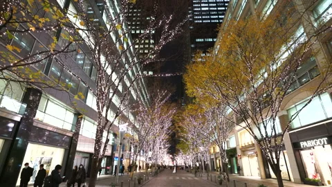 Illuminated Maple Trees Along Marunouchi Nakadori Surrounded by Skyscrapers Stock Footage 327331486