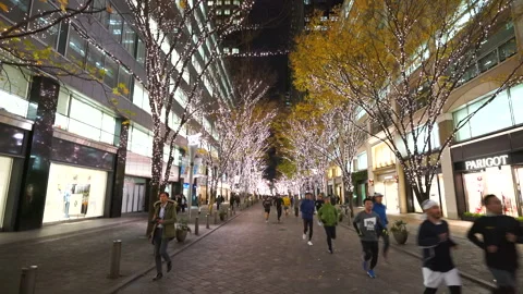 Illuminated Maple Trees Along Marunouchi Nakadori Surrounded by Skyscrapers Stock Footage 327331538