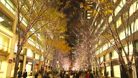 Illuminated Maple Trees Along Marunouchi Nakadori Surrounded by Skyscrapers Stock Footage 327331597