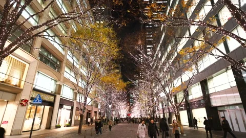 Illuminated Maple Trees Along Marunouchi Nakadori Surrounded by Skyscrapers Stock Footage 327331922