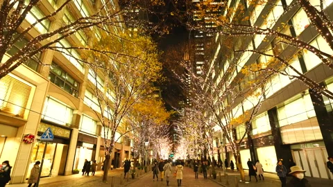 Illuminated Maple Trees Along Marunouchi Nakadori Surrounded by Skyscrapers Stock Footage 327332015