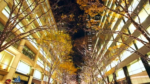 Illuminated Maple Trees Along Marunouchi Nakadori Surrounded by Skyscrapers Stock Footage 327332087