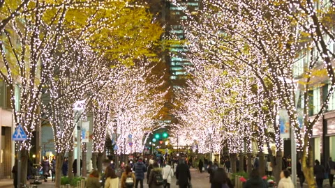 Illuminated Maple Trees Along Marunouchi Nakadori Surrounded by Skyscrapers Stock Footage 327332557