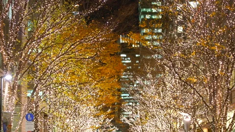 Illuminated Maple Trees Along Marunouchi Nakadori Surrounded by Skyscrapers Stock Footage 327332806