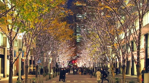 Illuminated Maple Trees Along Marunouchi Nakadori Surrounded by Skyscrapers Stock Footage 327333087