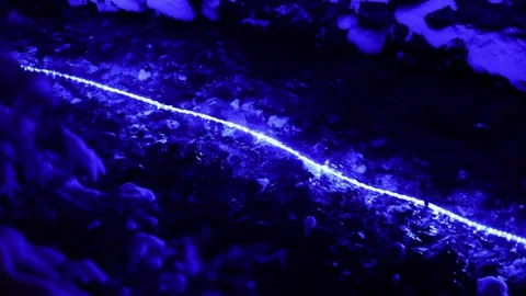 Illuminated mountain stream 스톡 동영상 327541578