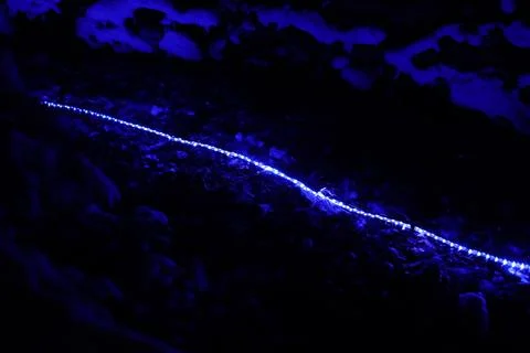 Illuminated mountain stream Stock Photos