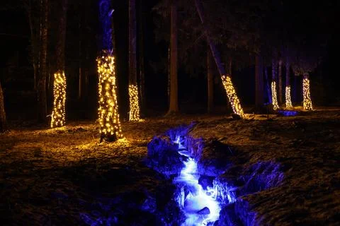 Illuminated mountain stream Stock Photos