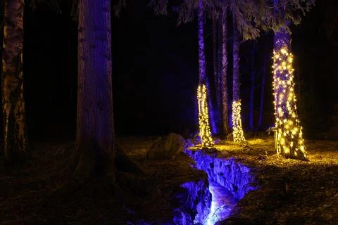 Illuminated mountain stream Stock Photos