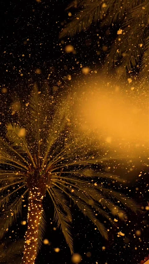 Illuminated Palm Tree with Falling Snow at Night Stock Footage 345332442