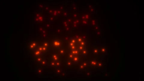 Illuminated red dots against a dark background create a Stock Footage 338012921