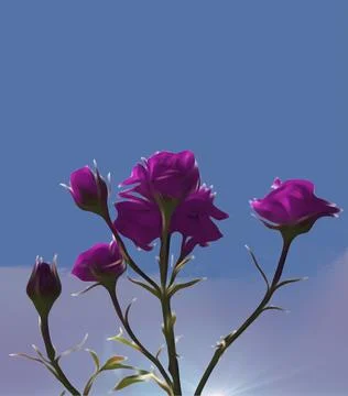 Illuminated roses Stock Photos